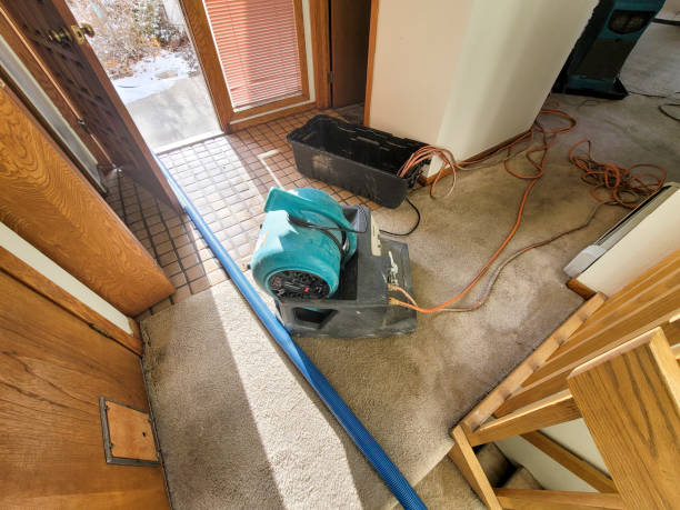  Oakwood Hls, IL Water damage restoration Pros