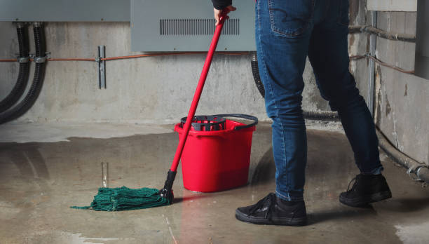 Best Commercial water damage restoration  in Oakwood Hls, IL