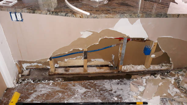 Best Water damage restoration mold remediation  in Oakwood Hls, IL