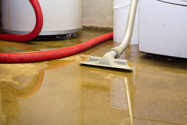 Best Commercial water damage restoration  in Oakwood Hls, IL