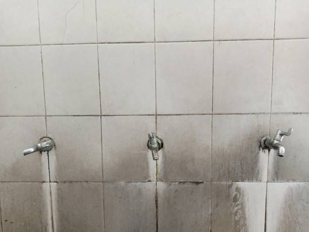 Best Residential water damage restoration  in Oakwood Hls, IL