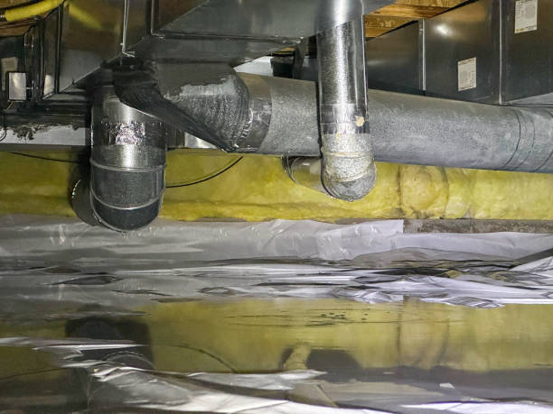 Best Flood damage cleanup  in Oakwood Hls, IL
