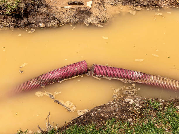 Best Water damage restoration insurance claims  in Oakwood Hls, IL