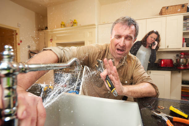 Best Water damage restoration specialists  in Oakwood Hls, IL